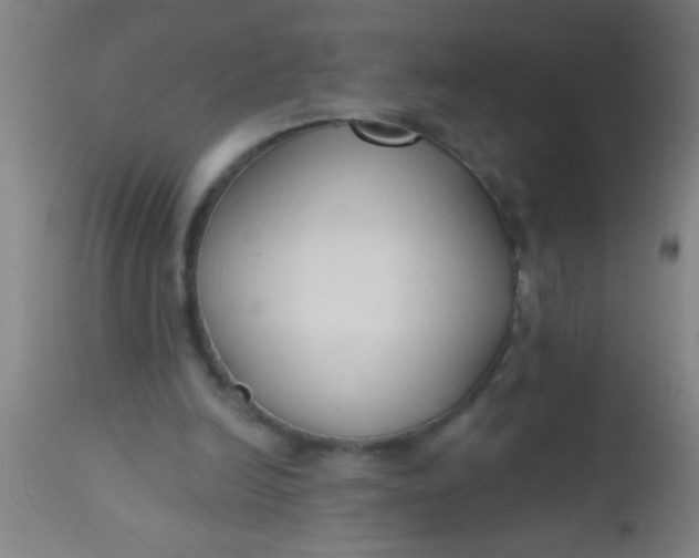 X0000112520246200909071341