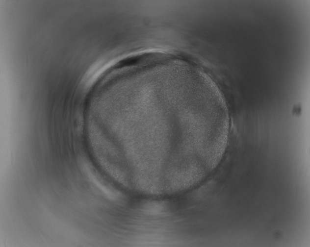 X0000112520247200909071341