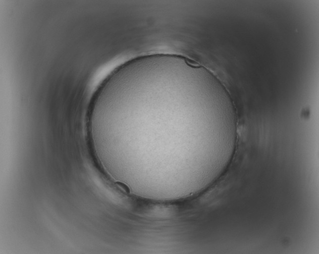 X0000112520248200909071341