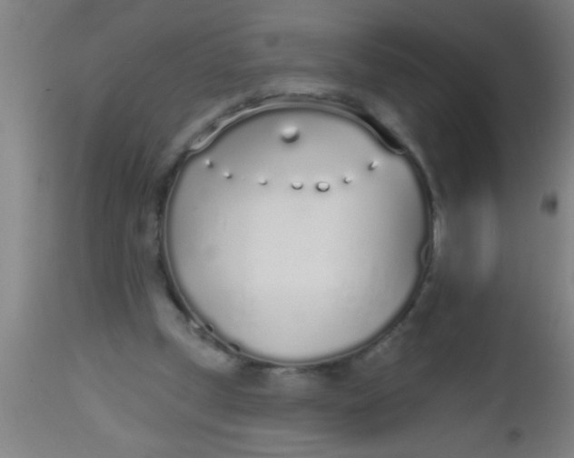 X0000112520249200909071341