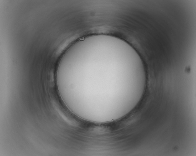 X0000112520251200909071341