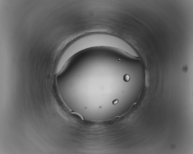 X0000112520252200909071341