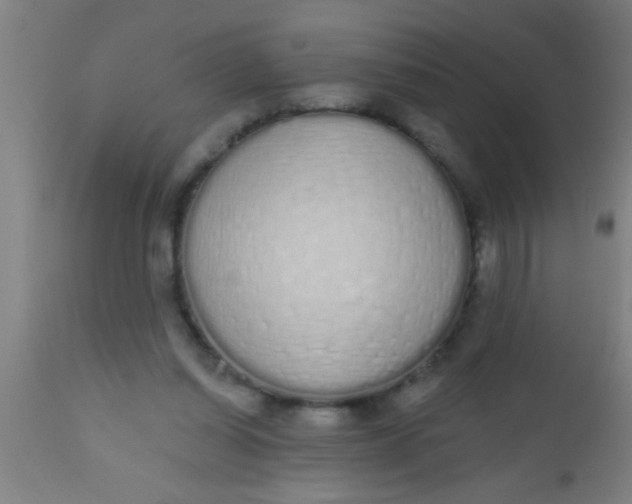 X0000112520254200909071341