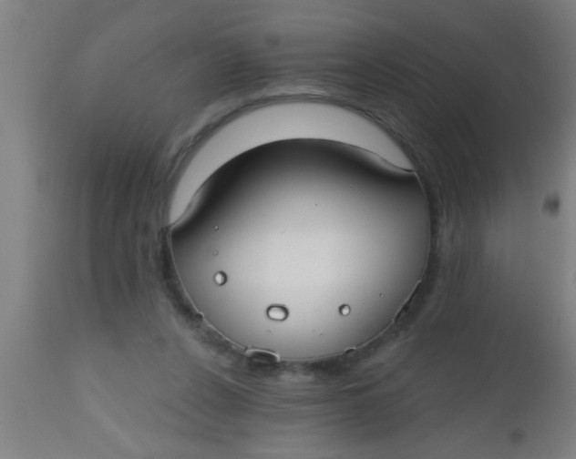 X0000112520256200909071341