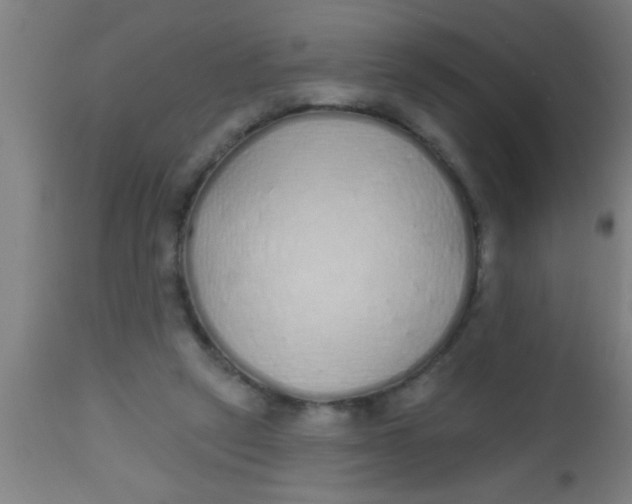 X0000112520257200909071341