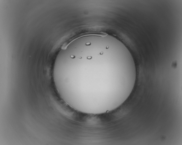 X0000112520258200909071341
