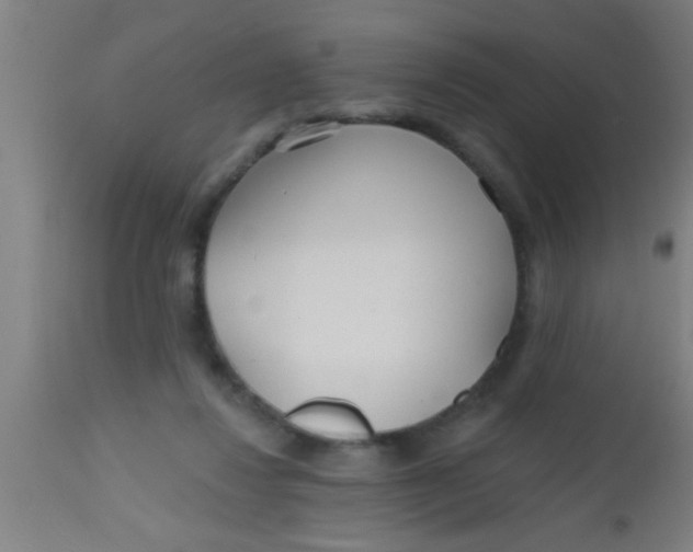 X0000112520260200909071341