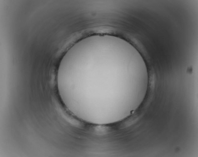 X0000112520261200909071341