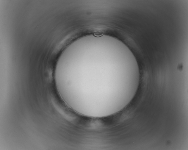 X0000112520262200909071341