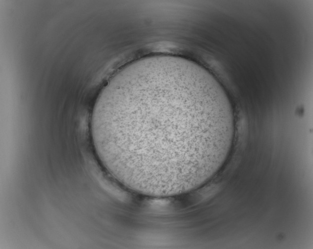 X0000112520265200909071341