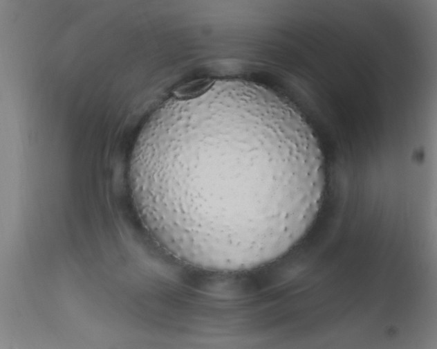 X0000112520267200909071341