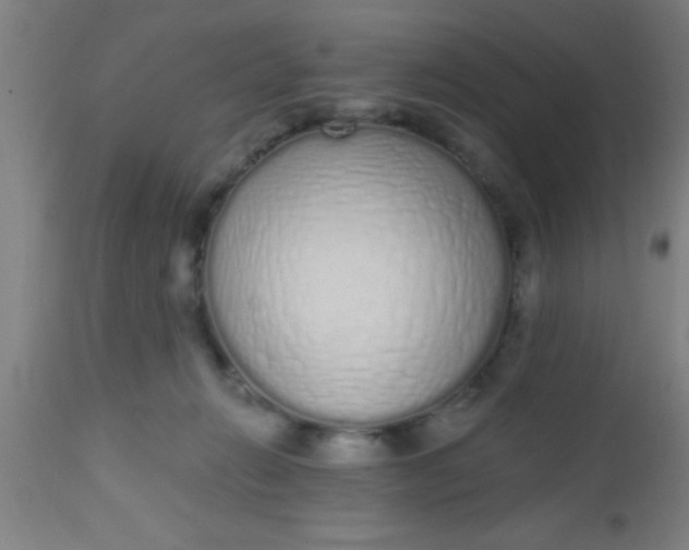 X0000112520270200909071341