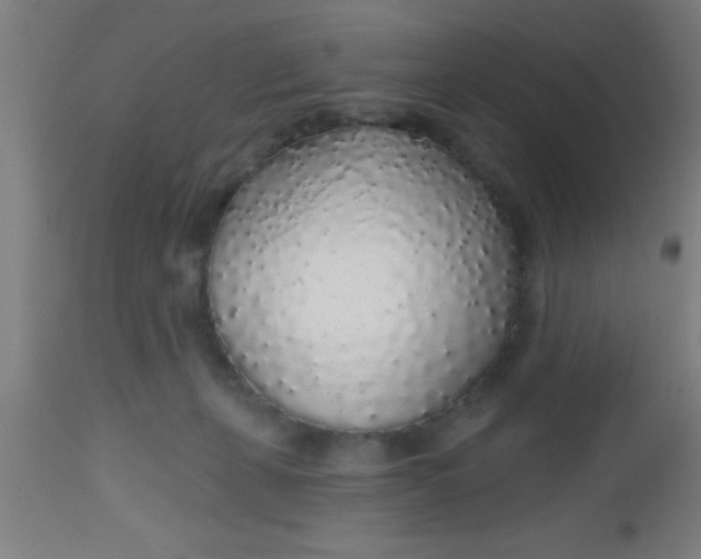 X0000112520271200909071341