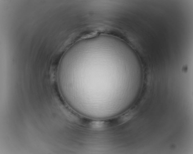 X0000112520273200909071341