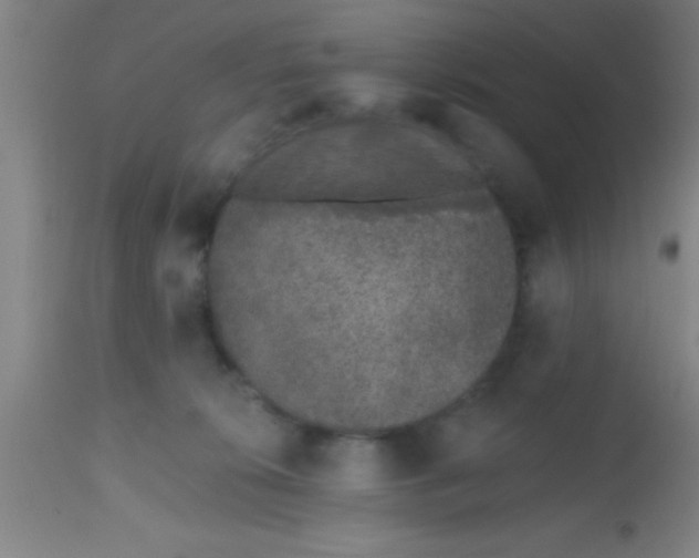 X0000112520276200909071341