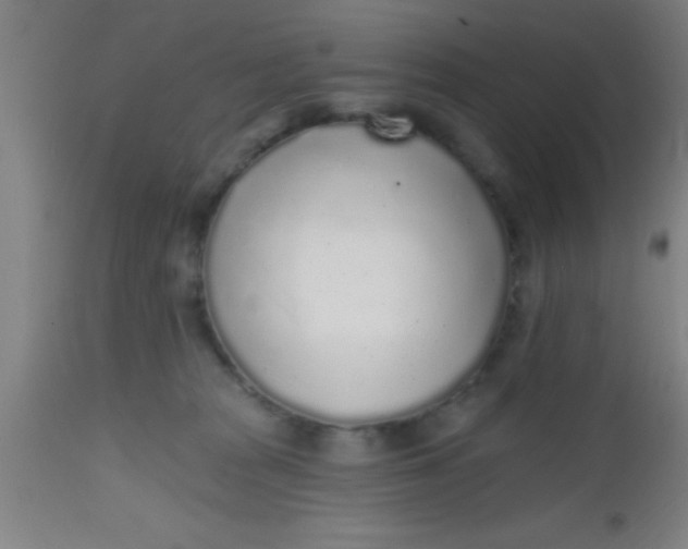 X0000112520277200909071341