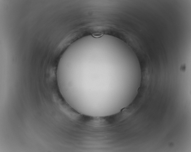 X0000112520278200909071341