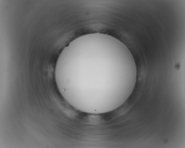 X0000112520279200909071341