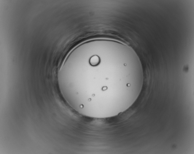 X0000112520280200909071341