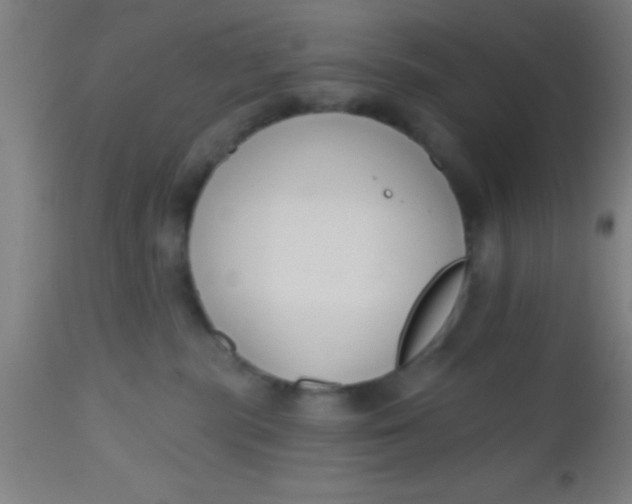X0000112520283200909071341
