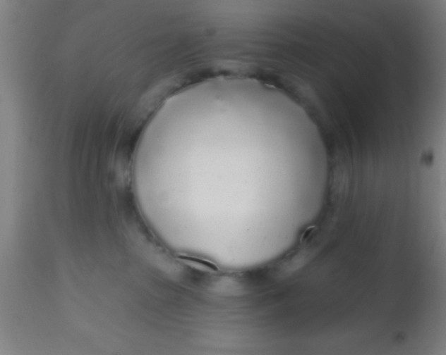 X0000112520285200909071341