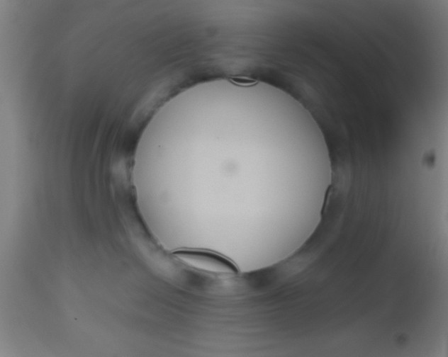 X0000112520286200909071341