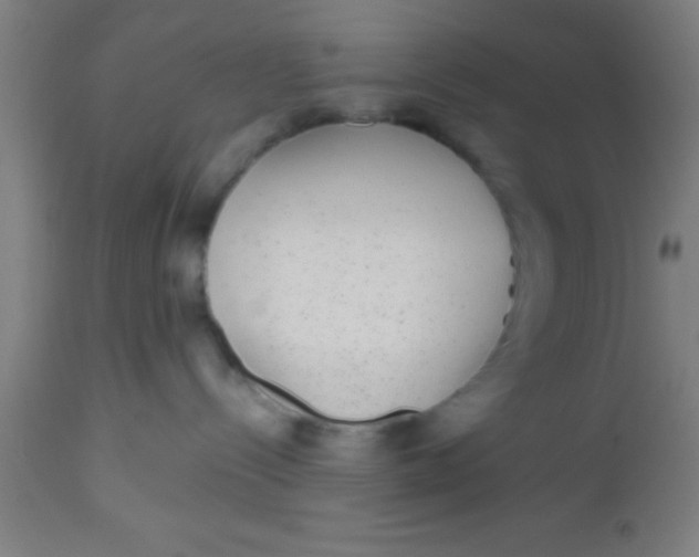 X0000112520288200909071341