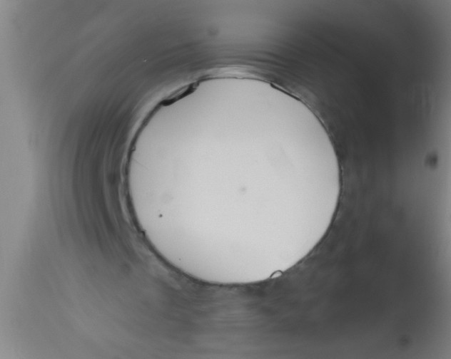 X0000112520289200909071341