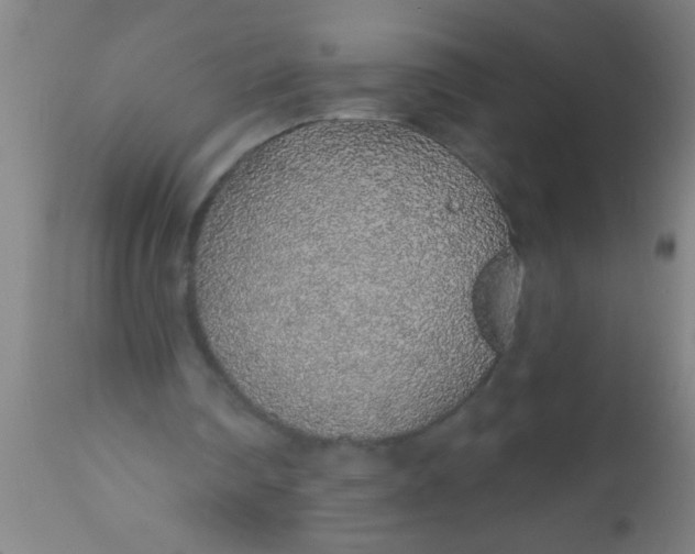 X0000112520290200909071340