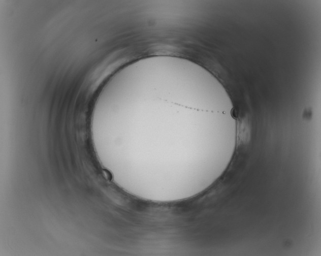X0000112520291200909071340