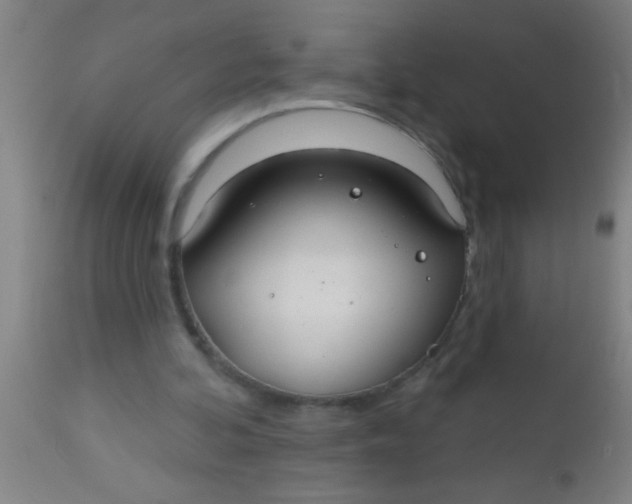 X0000112520292200909071340