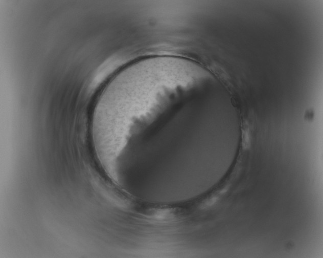 X0000112520295200909071340