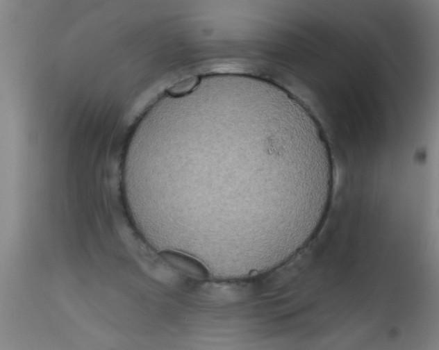 X0000112520297200909071340