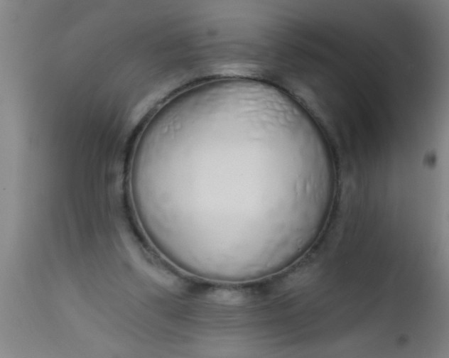 X0000112520299200909071340