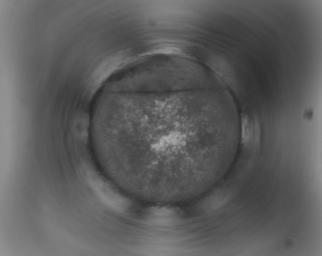 X0000112520300200909071340