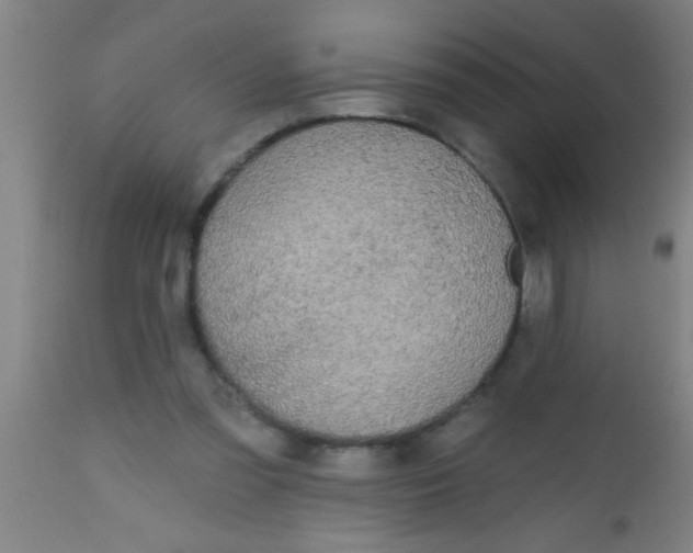 X0000112520301200909071340