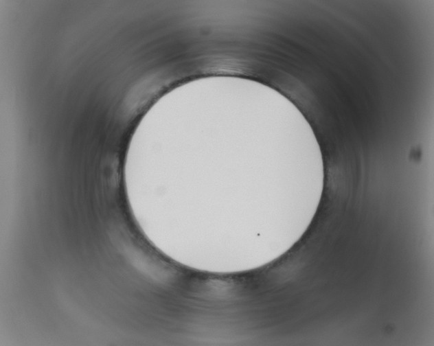 X0000112520302200909071340