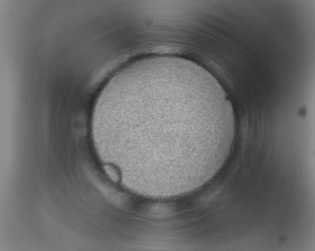 X0000112520303200909071340