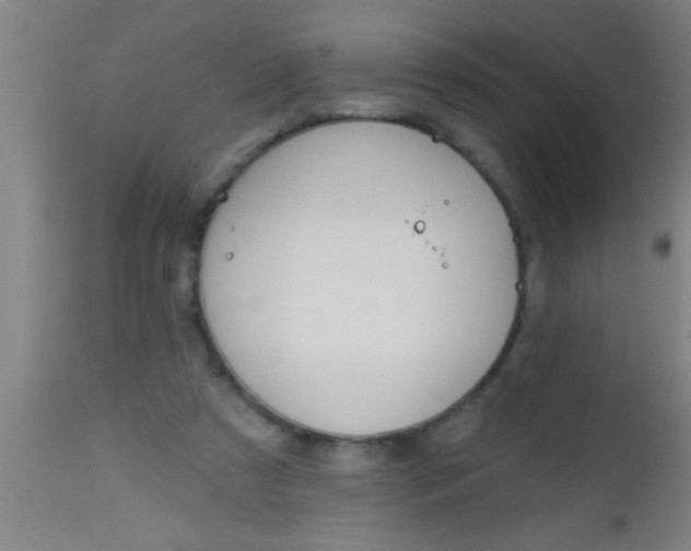 X0000112520305200909071340