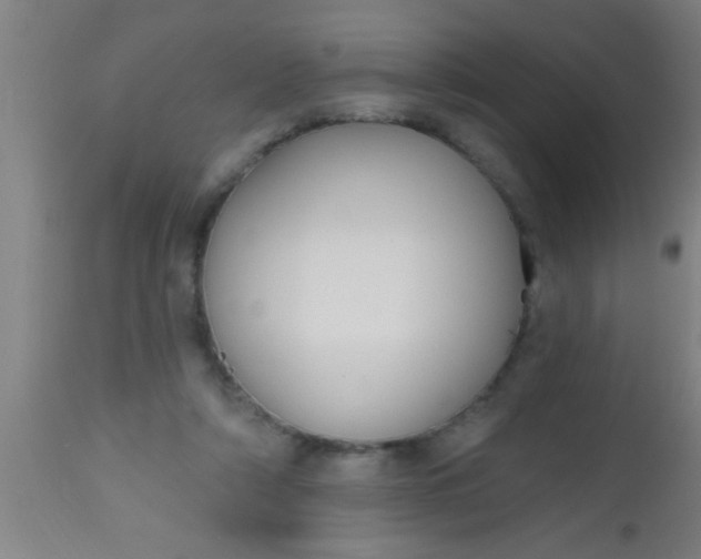 X0000112520306200909071340