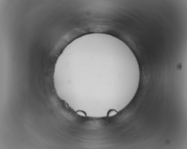 X0000112520307200909071340