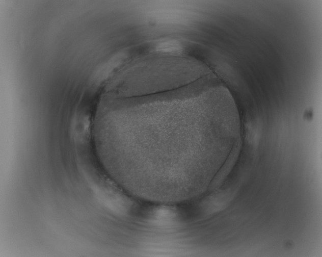 X0000112520308200909071340