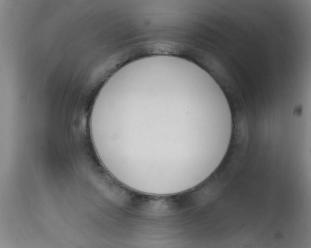 X0000112520310200909071340
