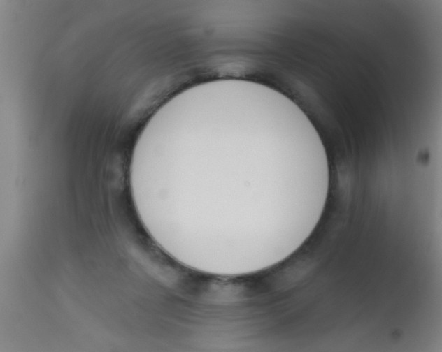 X0000112520311200909071340