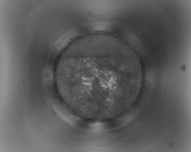 X0000112520312200909071340