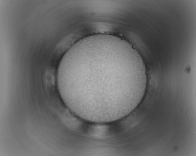 X0000112520313200909071340