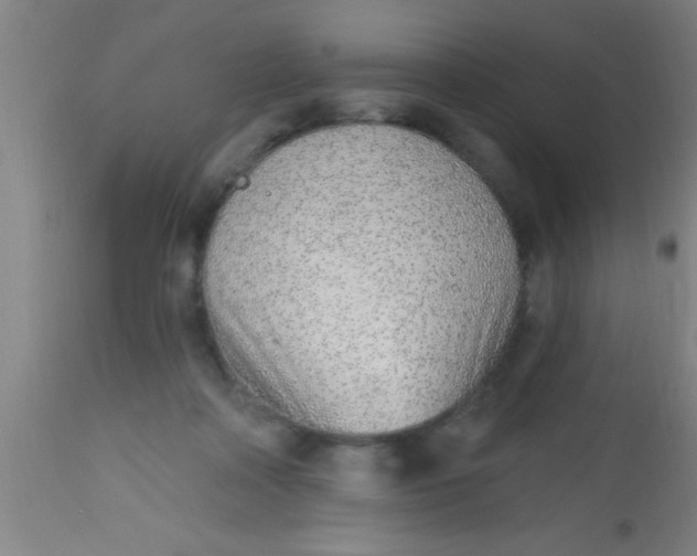 X0000112520314200909071340