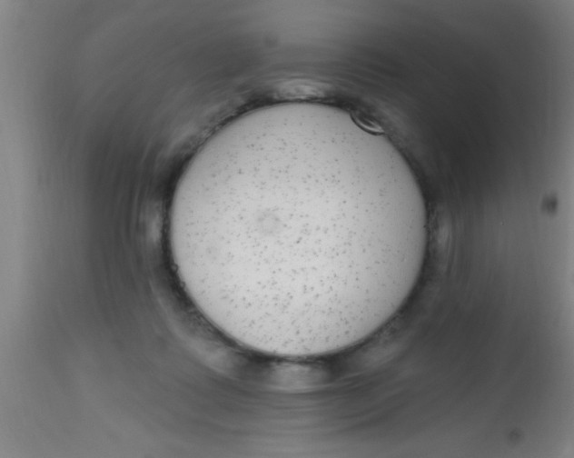 X0000112520315200909071340