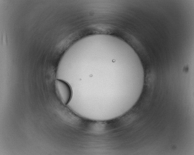 X0000112520318200909071340