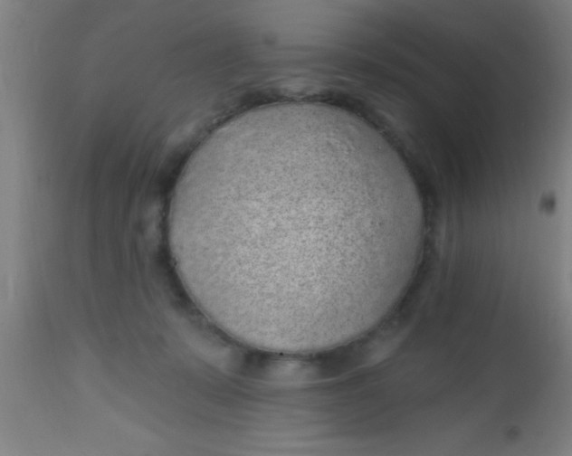 X0000112520319200909071340